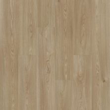 Shaw Floors Resilient Residential Praxis Plank Chaucer 02047_3039V