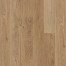Shaw Floors Resilient Residential Praxis Plank Craftsman 06018_3039V