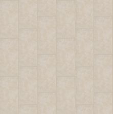 Shaw Builder Flooring Home Fn Gold Ceramic Absolute 12×24 Intrinsic 00150_TG11H