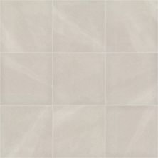 Shaw Builder Flooring Toll Brothers Ceramics Tb Tranquility 24×24 Matte Cristal 00100_TL84E