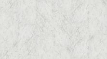 Shaw Floors Ceramic Solutions Prime Aura 24×48 Polished Carrara Abisso 00111_525TS