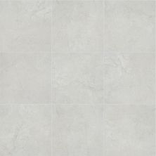 Shaw Floors Ceramic Solutions Pacific Ridge 18 White 00150_553TS