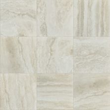 Shaw Floors Ceramic Solutions Genesis 18×18 Ivory 00125_CS24V