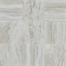 Shaw Floors Ceramic Solutions Genesis 18×18 Grey 00150_CS24V
