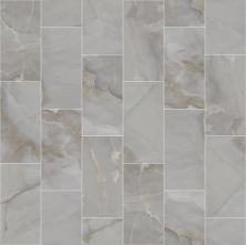 Shaw Floors Ceramic Solutions Gemstone 12×24 Polished Dark Grey 00550_338TS