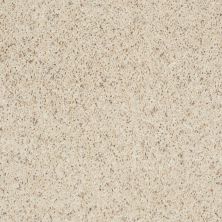 Shaw Floors Toll Brothers HS/Tuftex Goldilox (b) Outer Bank 00155_31ATB