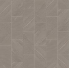 Shaw Floors Ceramic Solutions Lithoscape 12×24 Silver 00500_618TS