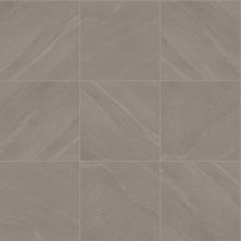 Shaw Floors Ceramic Solutions Lithoscape 24 Silver 00500_619TS