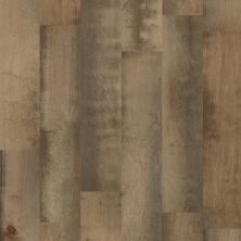 Shaw Floors Toll Brothers HS/Tuftex Blue Bell Maple Independence Hall 01012_332TB