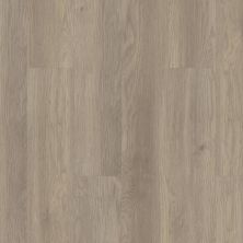 Shaw Floors Resilient Property Solutions Limitless 8 Salt River 02028_333MF