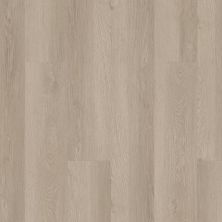 Shaw Floors Resilient Property Solutions Limitless 8 Pampas 02029_333MF