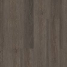 Shaw Floors Resilient Property Solutions Limitless 8 Route 66 07100_333MF
