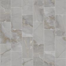 Shaw Floors Ceramic Solutions Gemstone 12×24 Matte Dark Grey 00550_337TS