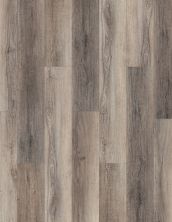 Shaw Floors Resilient Residential Enterprise 9″ Berkshire Elm 02097_345CT