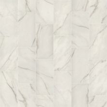 Shaw Floors Ceramic Solutions Serene 12×24 Matte Golden Calacata 00121_359TS