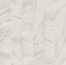 Shaw Floors Ceramic Solutions Serene 12×24 Matte Bianco Covelano 00150_359TS