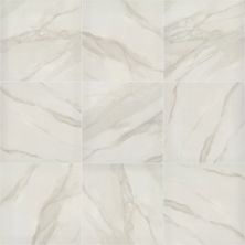 Shaw Floors Ceramic Solutions SERENE 24X24 MATTE Bianco Covelano 00150_357TS
