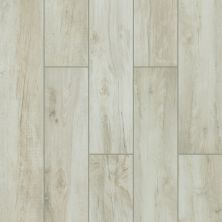 Shaw Floors Ceramic Solutions SAVANNAH 8X48 Pearl 00100_CS32V