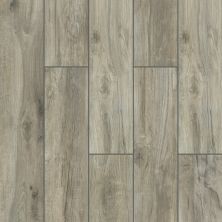 Shaw Floors Ceramic Solutions SAVANNAH 8X48 Silver 00500_CS32V