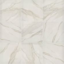 Shaw Floors Ceramic Solutions Serene 24×24 Polished Bianco Covelano 00150_358TS