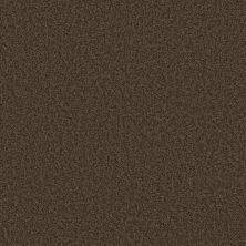 Shaw Floors Take Away S 13.7 Mocha 00704_368SE