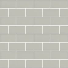 Shaw Floors Ceramic Solutions GRANDEUR 3X6 GLOSS Sage