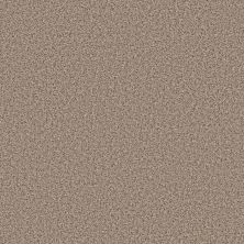 Shaw Floors Basic Mix 13.7 Sunkissed 0104T_372SE
