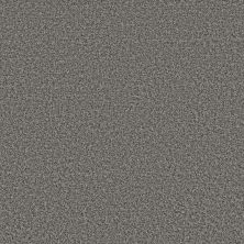 Shaw Floors Basic Mix 13.7 Granite 0507A_372SE