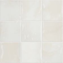 Shaw Floors Ceramic Solutions Eventide 6×6 Gloss Alba 00100_434TS