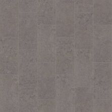 Shaw Floors Ceramic Solutions Timeless 12×24 Ignite 00550_403TS