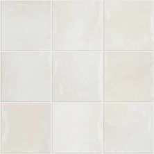 Shaw Floors Ceramic Solutions Eventide 6×6 Gloss Alba 00100_434TS