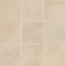 Shaw Floors Ceramic Solutions Eventide 6×6 Gloss Sublime 00150_434TS