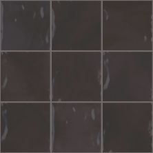 Shaw Floors Ceramic Solutions Eventide 6×6 Gloss Eclipse 00900_434TS