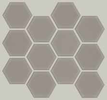 Shaw Floors Ceramic Solutions Ascendant 3″ Hex Refined Grey 00510_448TS