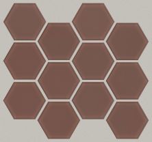 Shaw Floors Ceramic Solutions Ascendant 3″ Hex Timeworn Terracotta 00800_448TS