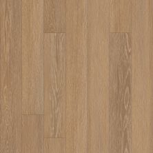 Shaw Floors Resilient Residential Empire Toltec Oak 04482_456CT