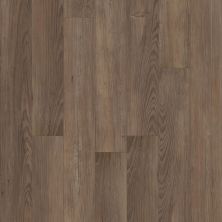Shaw Floors Resilient Residential Empire Saadi Pine 04483_456CT