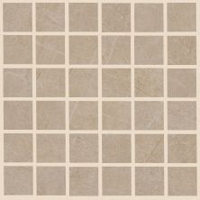 Shaw Floors Shaw Ceramics Fervor 2×2 Mosaic Horizon 00700_458TS