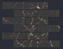 Shaw Floors Ceramic Solutions Dreamscape 2×6 Nero Marquina 00900_484TS