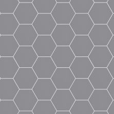 Shaw Floors Ceramic Solutions Point & Verge Solid Grey