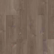Shaw Floors Resilient Property Solutions Revered Elster Oak 02008_492CT