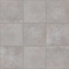 Shaw Floors Ceramic Solutions Halftone 8x8 Gloss Grey Vetiver