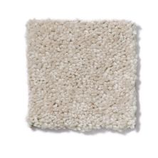 Shaw Floors Shaw Flooring Gallery Essay II Cloud 5005G_00102
