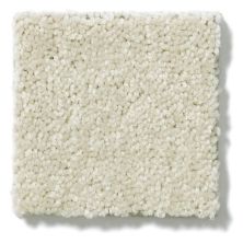 Shaw Floors Shaw Flooring Gallery Essay II Crisp Linen 5005G_00109