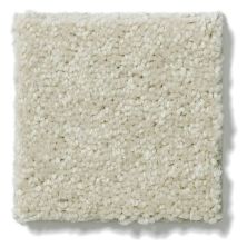 Shaw Floors Shaw Flooring Gallery Essay II Sand Dollar 5005G_00116