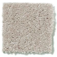 Shaw Floors Shaw Flooring Gallery Essay II Sheer Ecru 5005G_00153