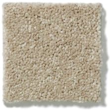 Shaw Floors Shaw Flooring Gallery Essay II Straw Hat 5005G_00250