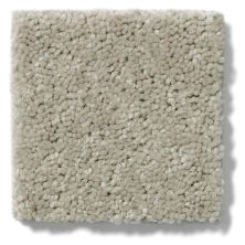 Shaw Floors Shaw Flooring Gallery Essay II Basket 5005G_00762