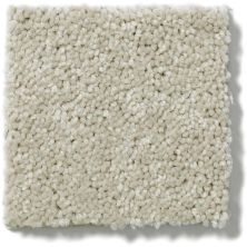 Shaw Floors Shaw Flooring Gallery Essay II Cookie Dough 5005G_00771