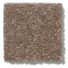 Shaw Floors Shaw Flooring Gallery Essay II Owl 5005G_00791